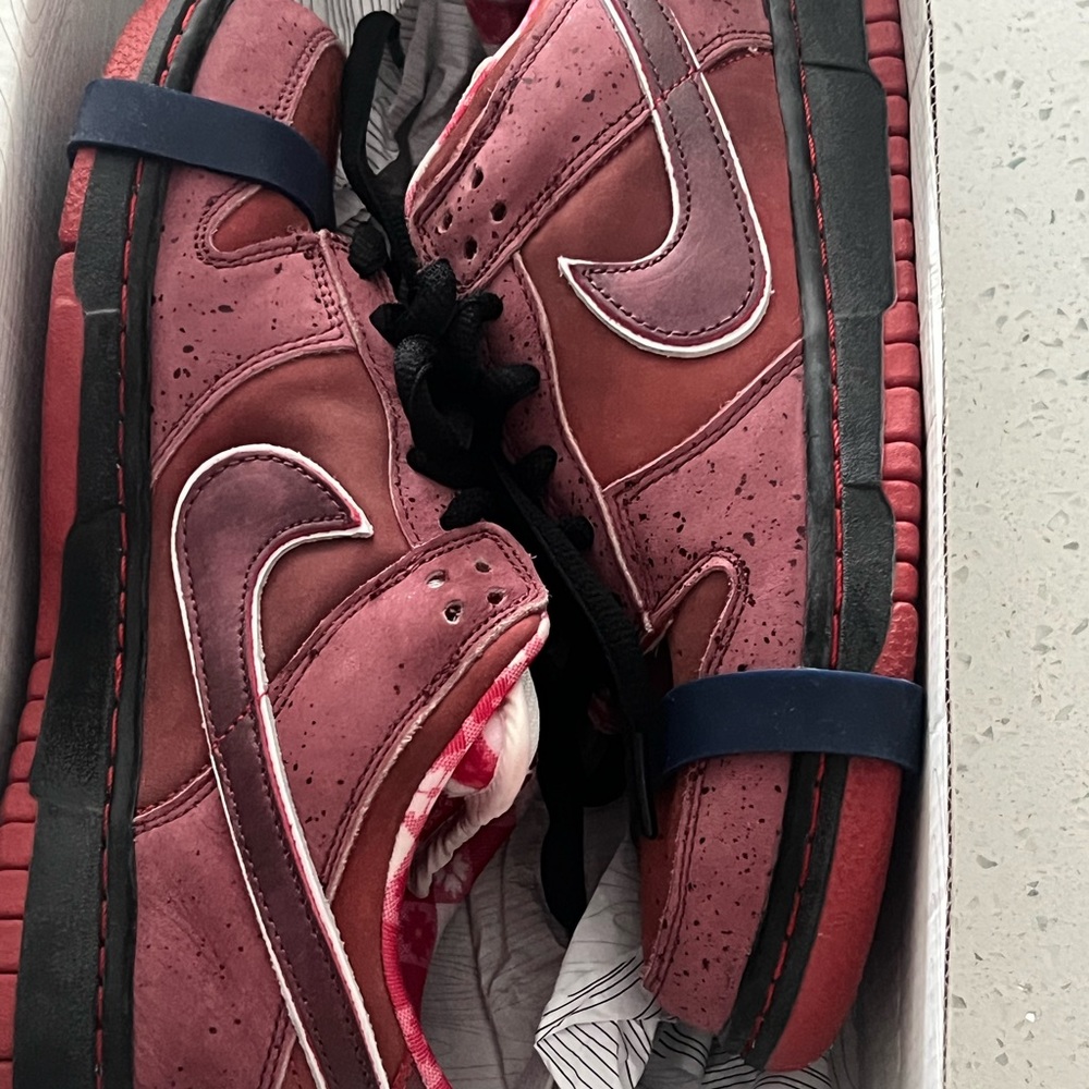 RARE !!! Nike Red Lobster Dunks